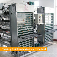 Máquina de coleta automática de ovos Tianrui Design para equipamentos de criação